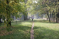 Img 152
